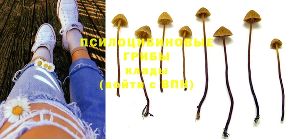 PSILOCYBIN Бронницы
