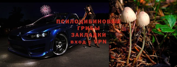 дурь Бородино