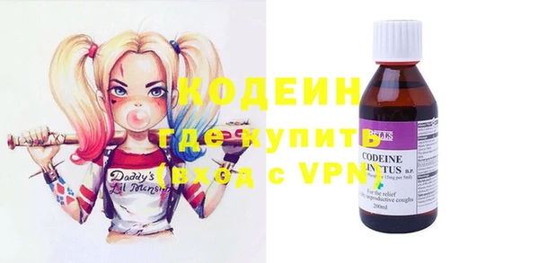дурь Бородино