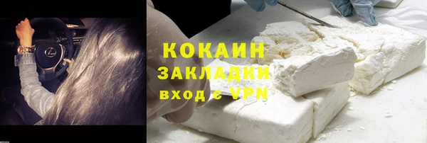 PSILOCYBIN Бронницы
