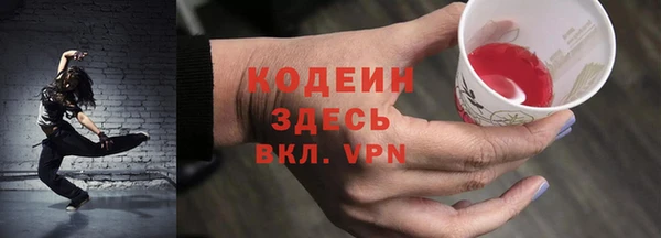 дурь Бородино
