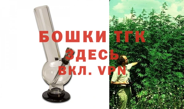 дурь Бородино