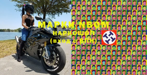 дурь Бородино