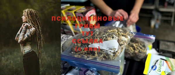 PSILOCYBIN Бронницы